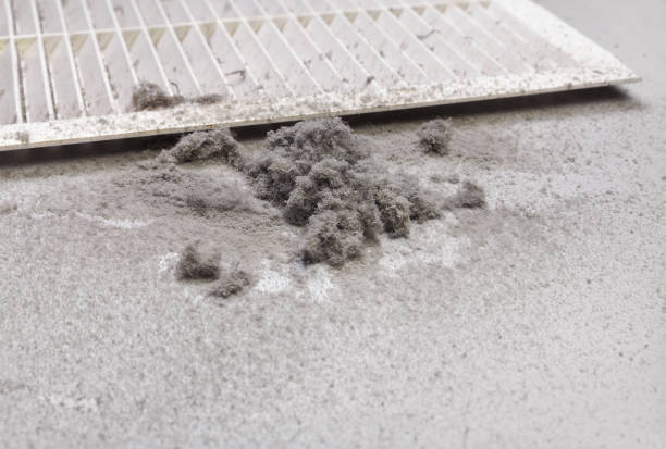Best Dryer Vent Cleaning Services  in Ponder, TX